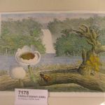 362 7178 LITOGRAPH IN C..